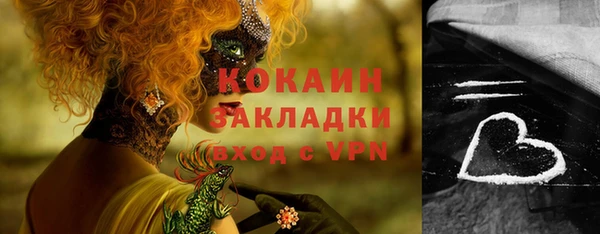 Альфа ПВП Бородино