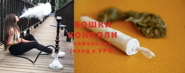 Альфа ПВП Бородино