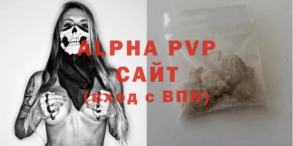 Альфа ПВП Бородино