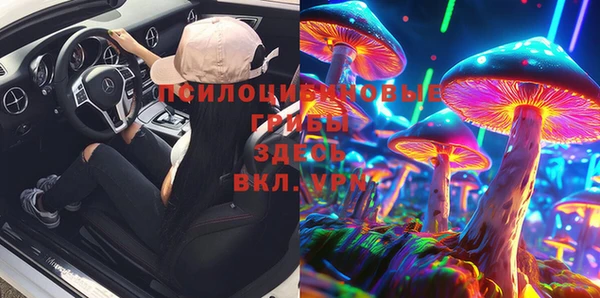 Альфа ПВП Бородино