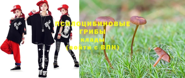 мдпв Бронницы