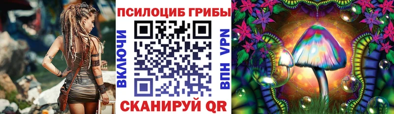Псилоцибиновые грибы GOLDEN TEACHER Мензелинск